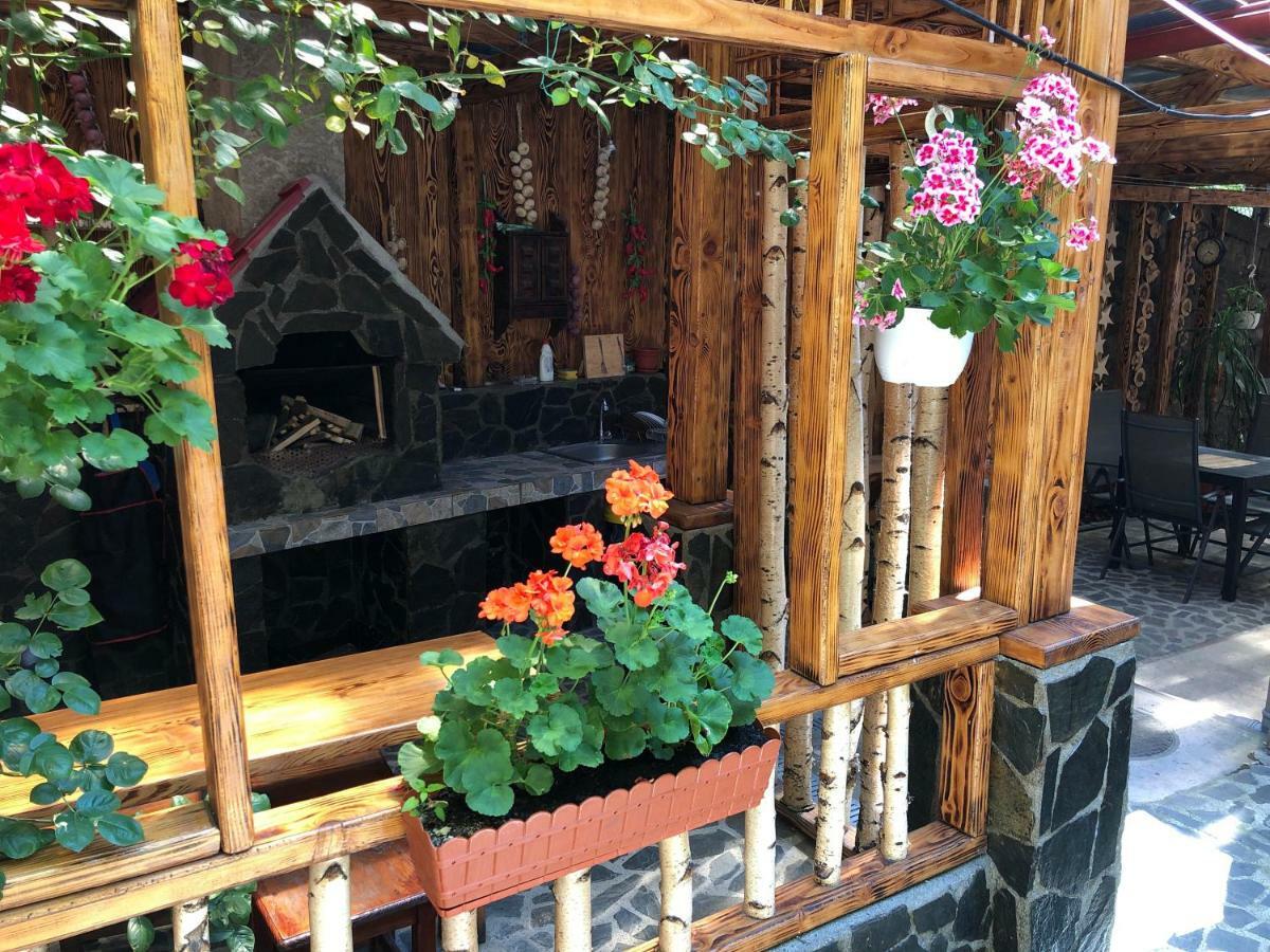 Casa Anina Hotel Exterior photo